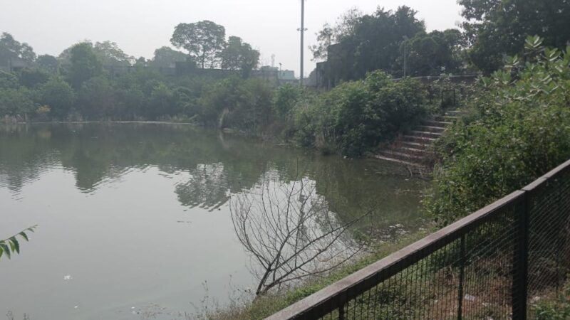 बदहाल बूढ़ी बांध बन रहा जुआड़ियों का अड्डा