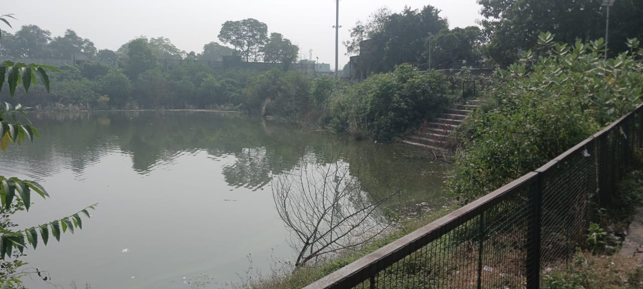 बदहाल बूढ़ी बांध बन रहा जुआड़ियों का अड्डा