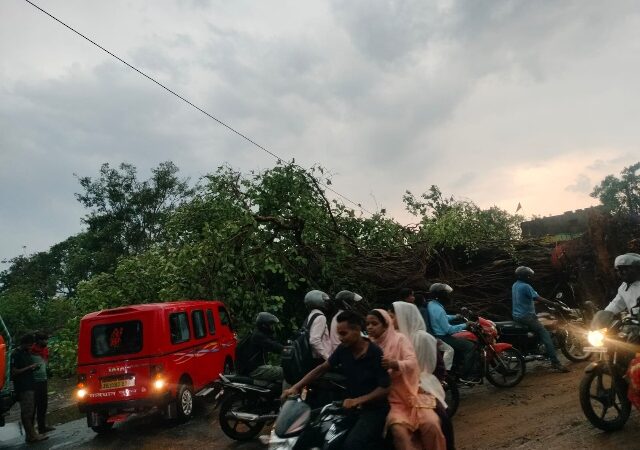 तुपकाडीह में बरसों पुराना बरगद का पेड़ जड़ समेत गिरा जैनामोड़ फुसरो मेनरोड जाम