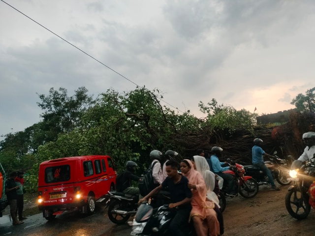 तुपकाडीह में बरसों पुराना बरगद का पेड़ जड़ समेत गिरा जैनामोड़ फुसरो मेनरोड जाम