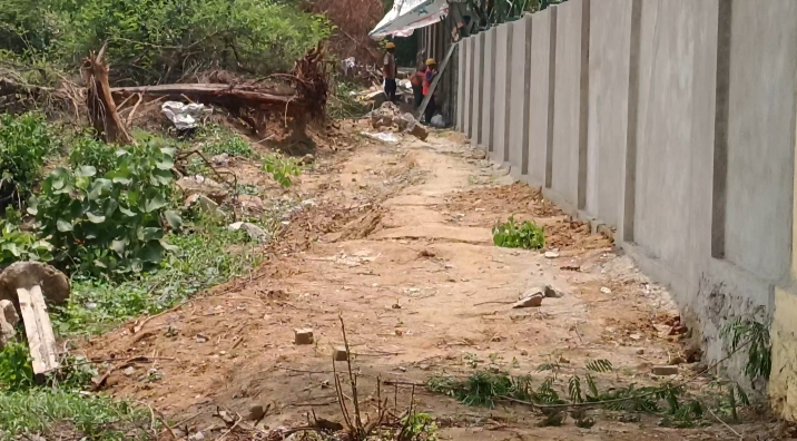 बाउंड्री वाल का प्लस्तर करने के लिए डालमिया सीमेंट कंपनी ने पड़ोसी के जमीन के पेड़ों को काटा